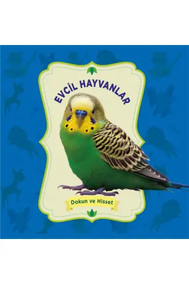 Evcil Hayvanlar - Dokun ve Hisset