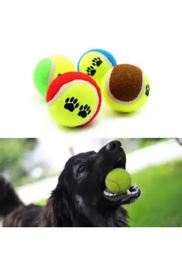  303   3lü Renkli Desenli Tenis Topu Kedi Köpek Oyuncağı