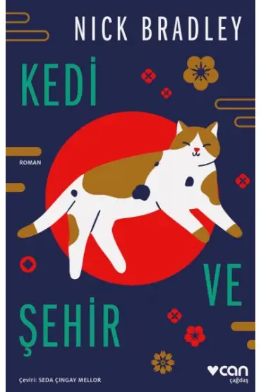 Kedi ve Şehir