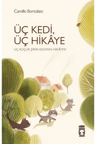 Üç Kedi Üç Hikaye