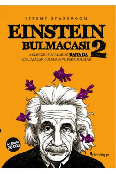 Einstein Bulmacası 2  Aklınızın Sınırlarını Zorlayacak Bulmaca ve Paradokslar