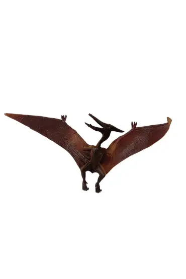  505 Pterosaur Dinazor 15 Cm - Q603-9