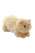  193 Nessiworld Yatan Peluş Krem Kedi 26 cm