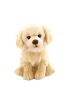  193 Nessiworld Peluş Floppy Golden Retriever 28 cm