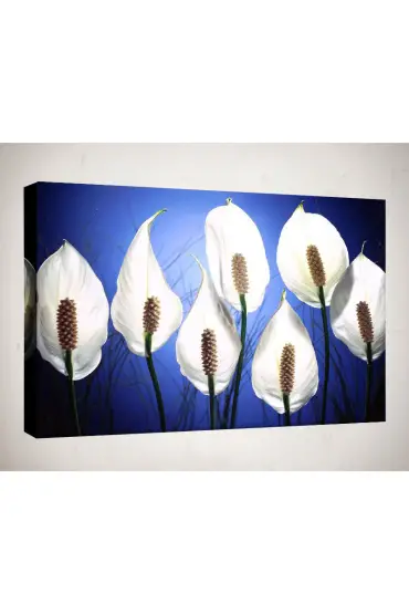 Kanvas Tablo - Çiçek Resimleri  - C133