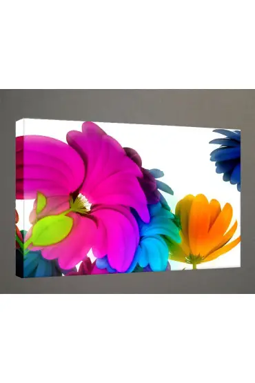Kanvas Tablo - Çiçek Resimleri  - Renkli Çiçekler  C247