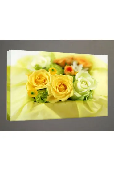 Kanvas Tablo - Çiçek Resimleri  - C100