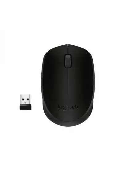  192 LOGITECH M171 USB SİYAH KABLOSUZ MOUSE (4172)