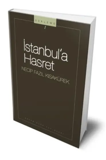 İstanbula Hasret