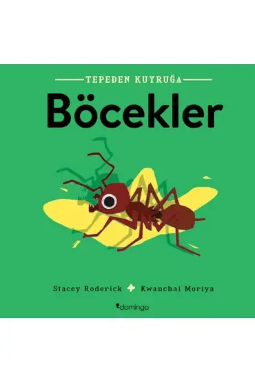 Tepeden Kuyruğa - Böcekler