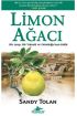 Limon Ağacı