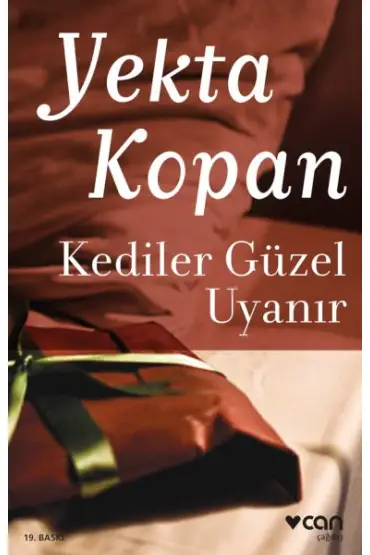 Kediler Güzel Uyanır