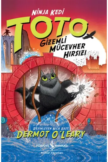 Ninja Kedi Toto – Gizemli Mücevher Hırsızı