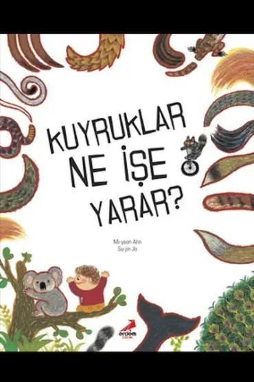 Kuyruklar Ne İşe Yarar