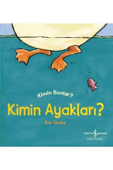 Kimin Ayakları? - Kimin Bunlar?