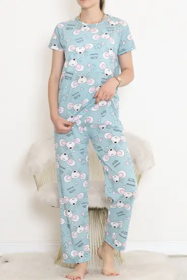  275 Desenli Pijama Takımı Çağla1