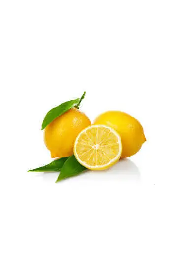  174 Limon Bonesi / 10 Adet / Bitki Çayı Bonesi