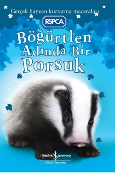 Böğürtlen Adında Bir Porsuk  (4022)