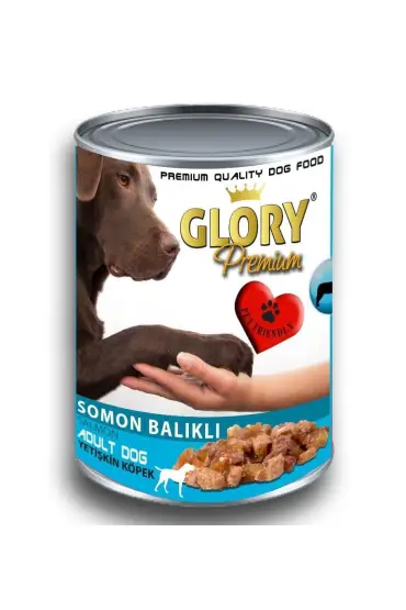 Glory Somon Etli Yetişkin Köpek Konserve Yaş Mama 400 gr