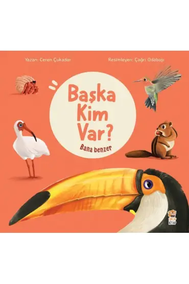 Bana Benzer - Başka Kim Var  (4022)