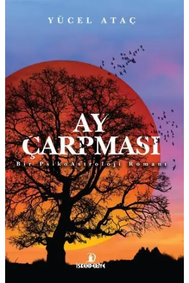 Ay Çarpması - Bir PsikoAstroloji Romanı  (4022)