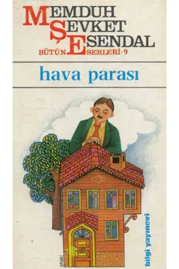 Hava Parası  (4022)