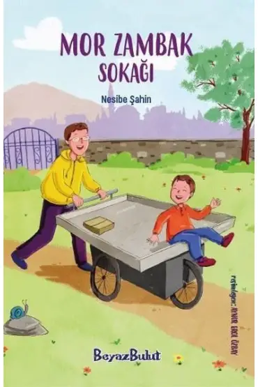 Mor Zambak Sokağı  (4022)