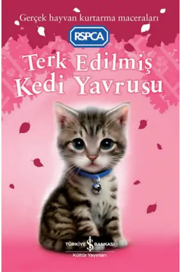 Terk Edilmiş Kedi Yavrusu  (4022)