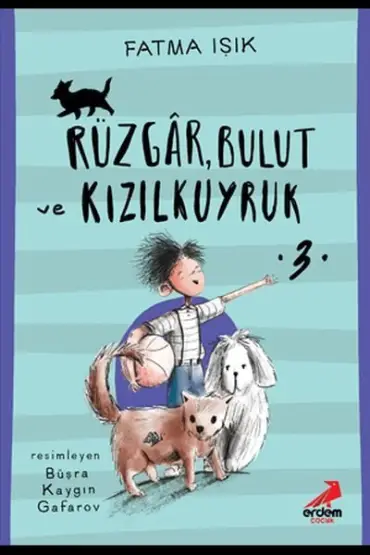 Rüzgar, Bulut ve Kızılkuyruk 3  (4022)