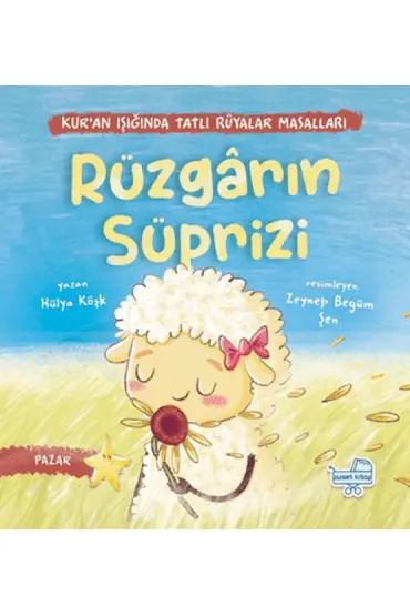 Rüzgarın Sürprizi  (4022)