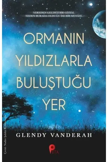 Ormanın Yıldızlarla Buluştuğu Yer  (4022)