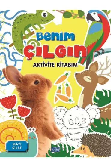 Benim Çılgın Aktivite Kitabım Mavi Kitap  (4022)