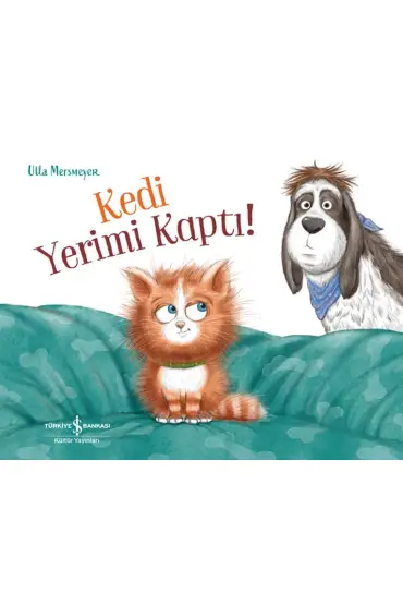 Kedi Yerimi Kaptı!  (4022)