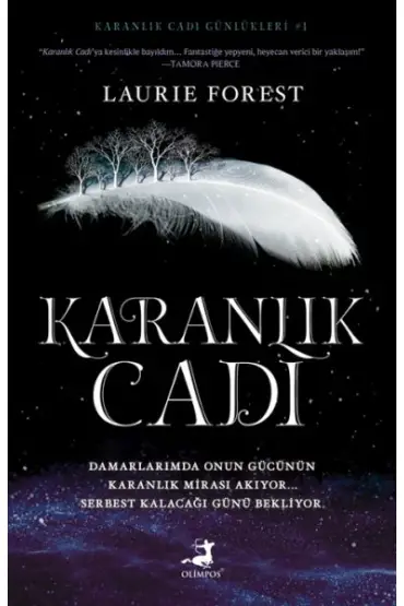 Karanlık Cadı  (4022)