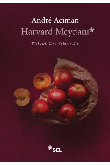 Harvard Meydanı  (4022)