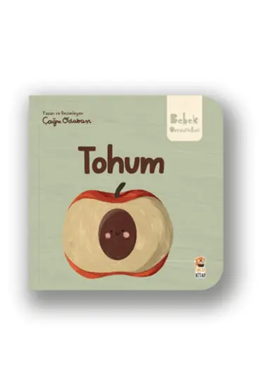 Tohum  (4022)