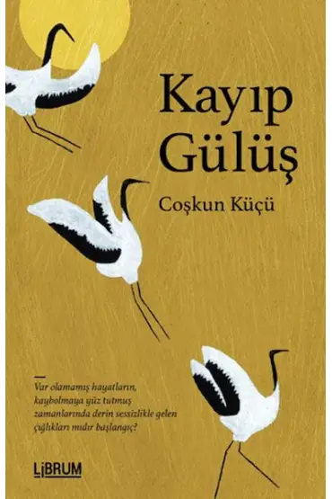 Kayıp Gülüş  (4022)