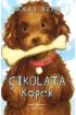 Çikolata Köpek  (4022)