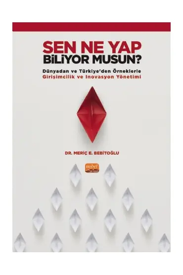 SEN NE YAP BİLİYOR MUSUN? -Dünyadan ve Türkiye’den Örneklerle