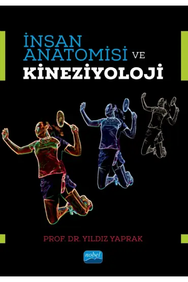 İnsan Anatomisi ve Kineziyoloji